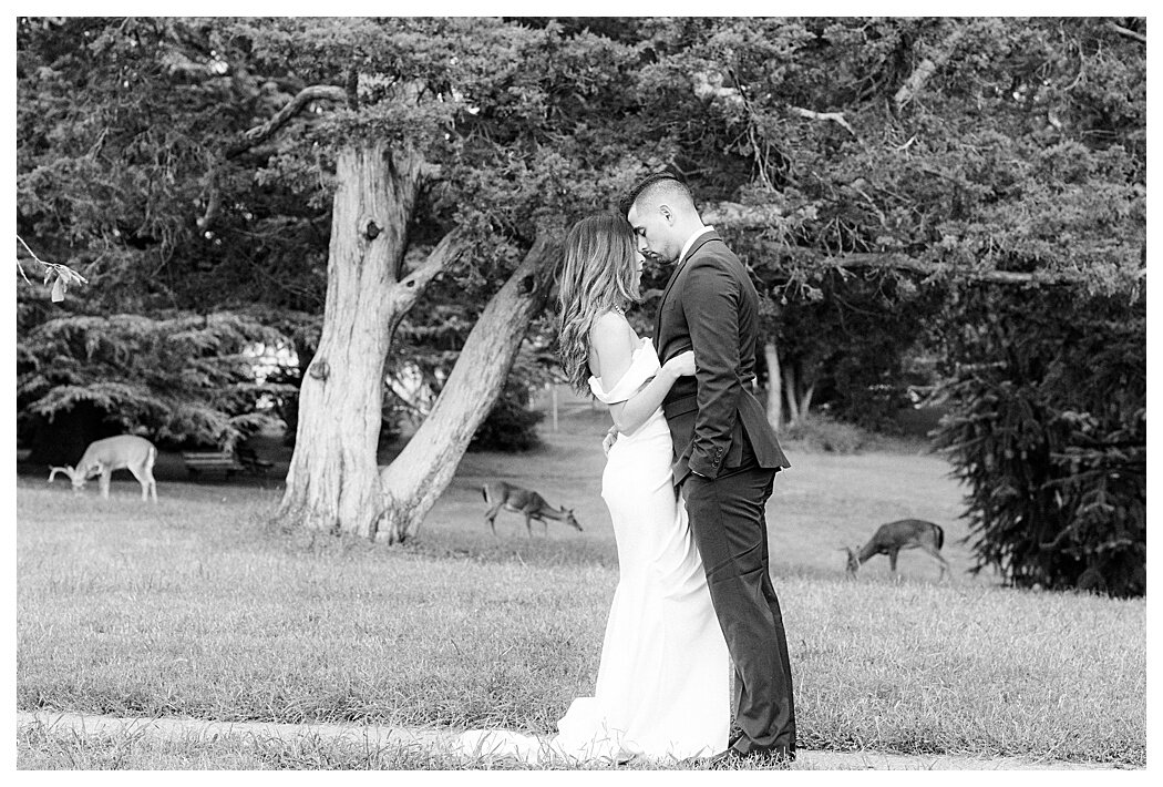 maymont-park-wedding-richmond-wedding-photographers-0842.jpg