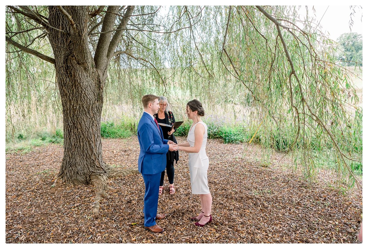 elopement-at-barboursville-vineyards-0031.jpg