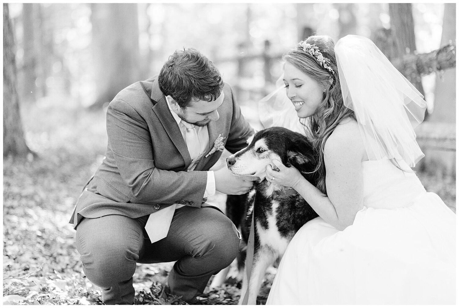 wedding-photos-with-dogs-6.jpg
