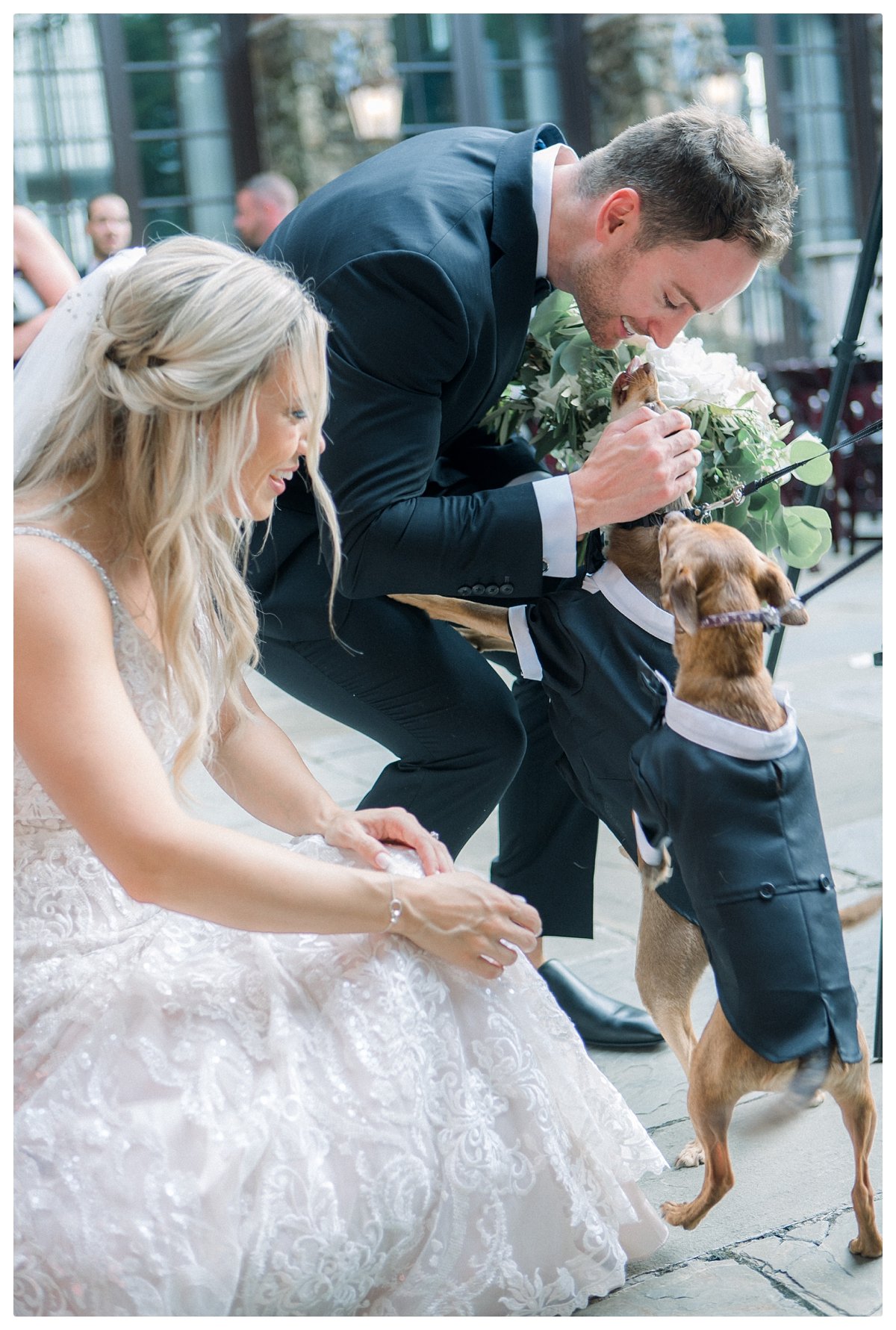 Dover Hall Wedding with Dogs