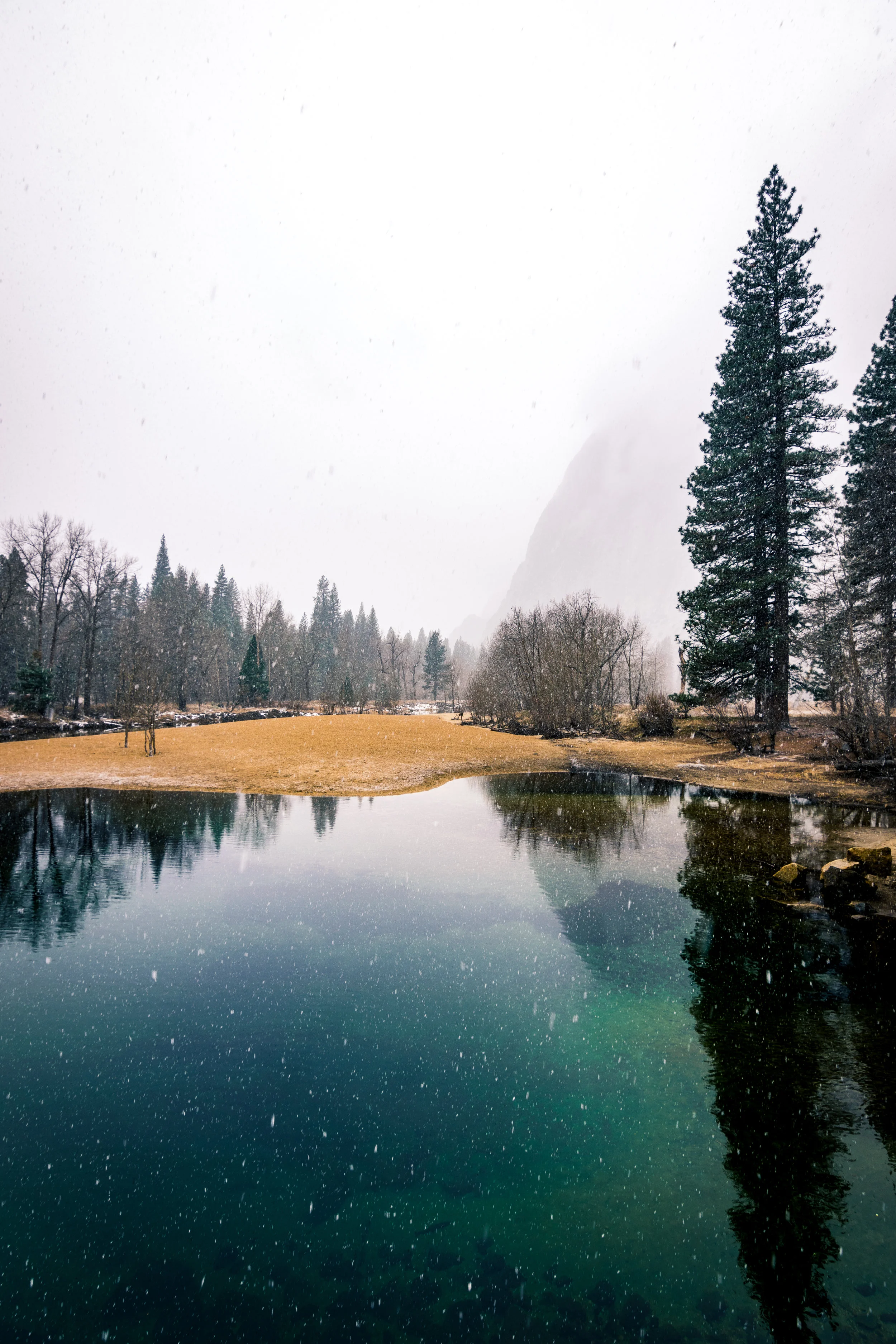 2018_02_26_Yosemite_00055-2.jpg