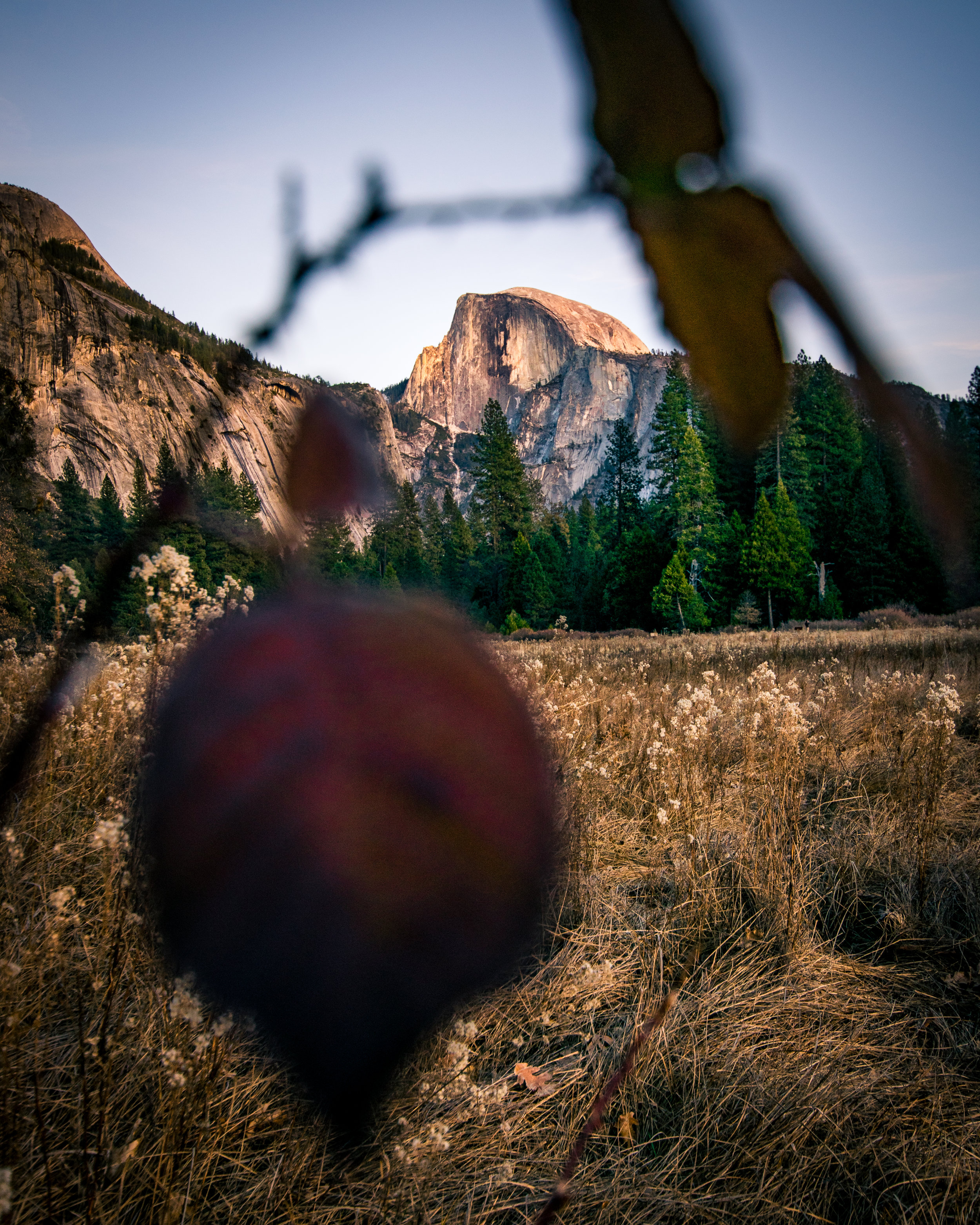 2017_12_10_Yosemite_00513.jpg