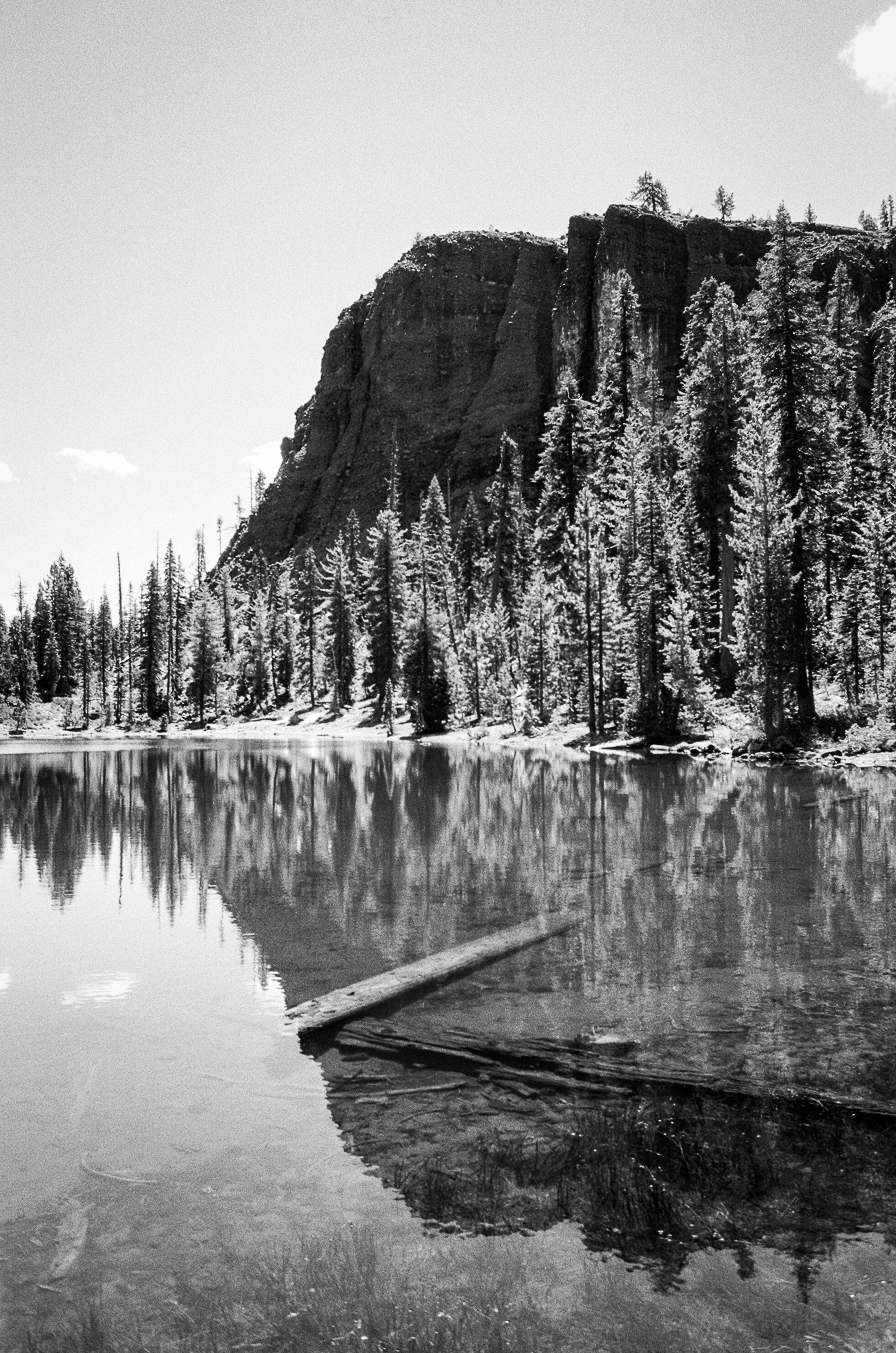 20201112_TMAX100_00024.jpg