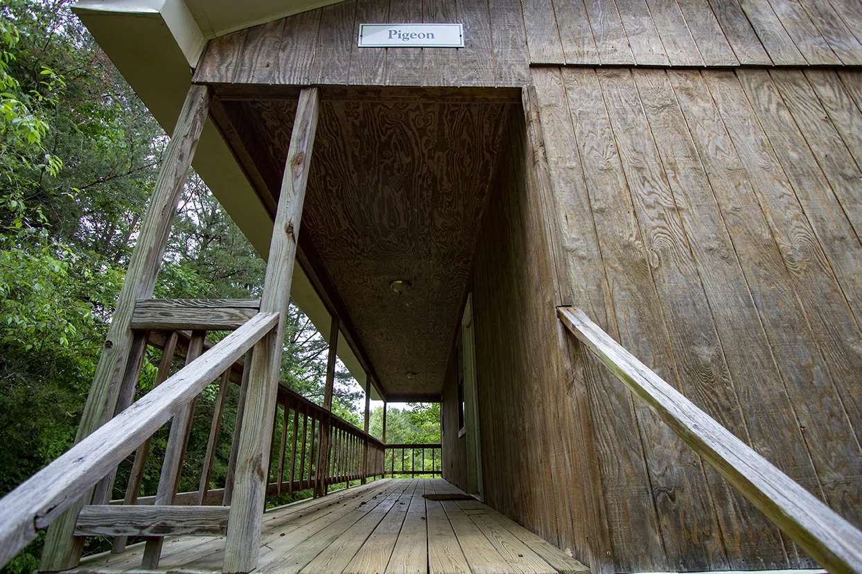 Pigeon Front Porch.jpg