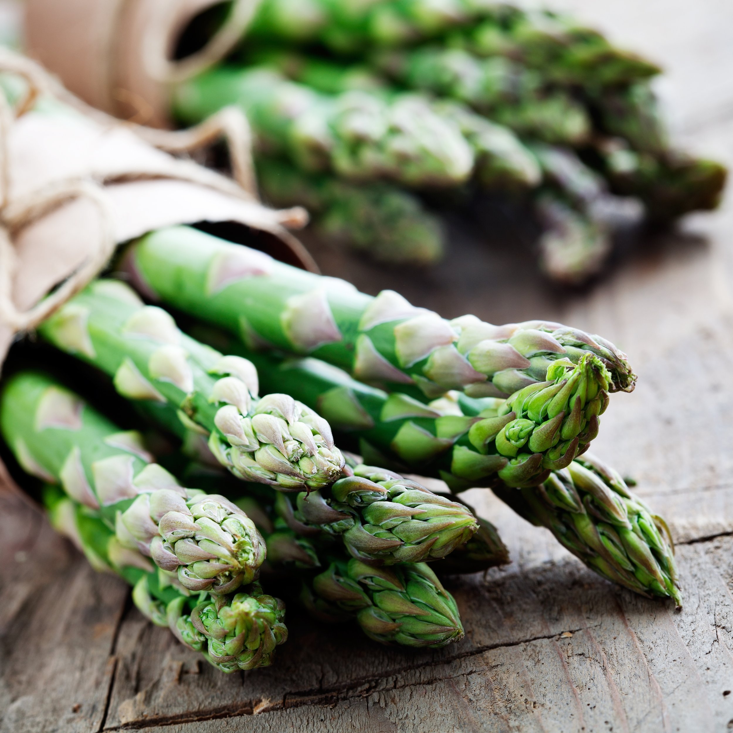 asparagus.jpeg