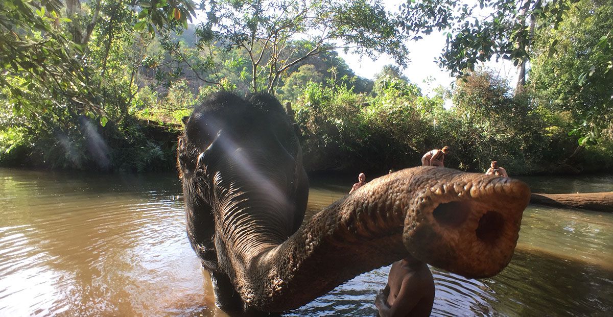 Mondulkiri 2.jpg