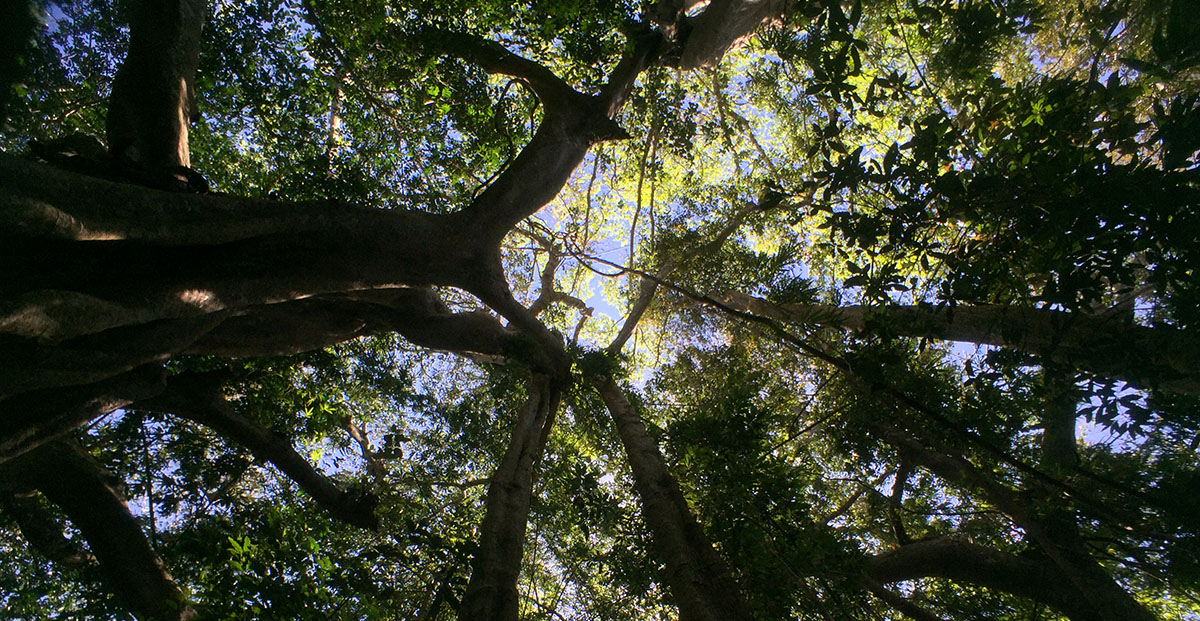 Mondulkiri 10.jpg