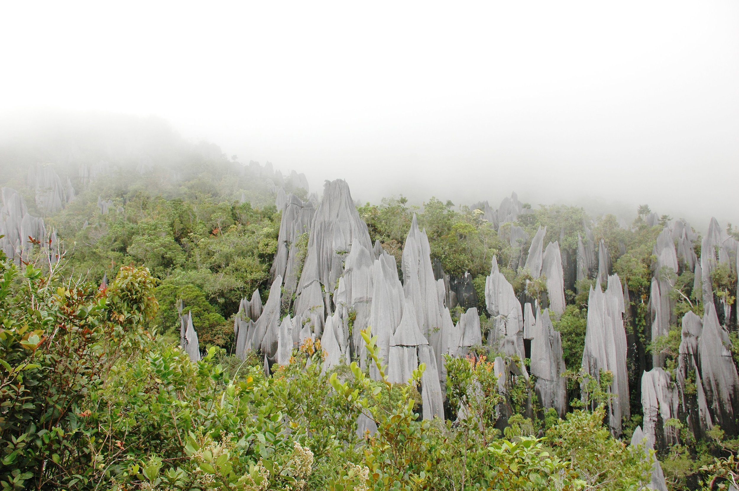 Pinnacles 02.jpg
