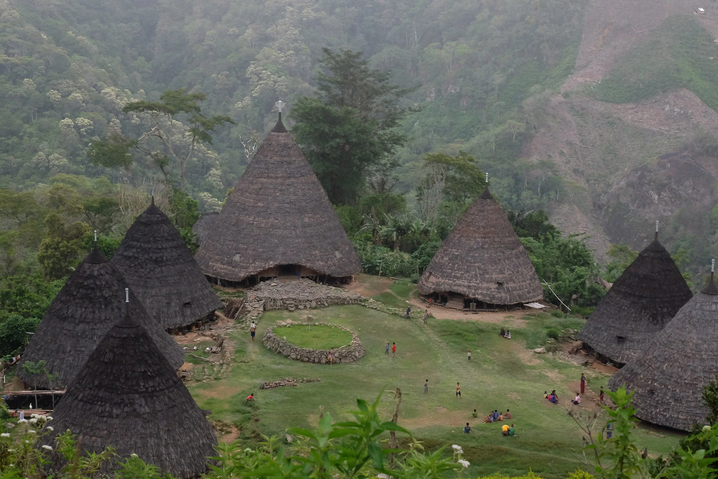 Flores Bajawa.jpg