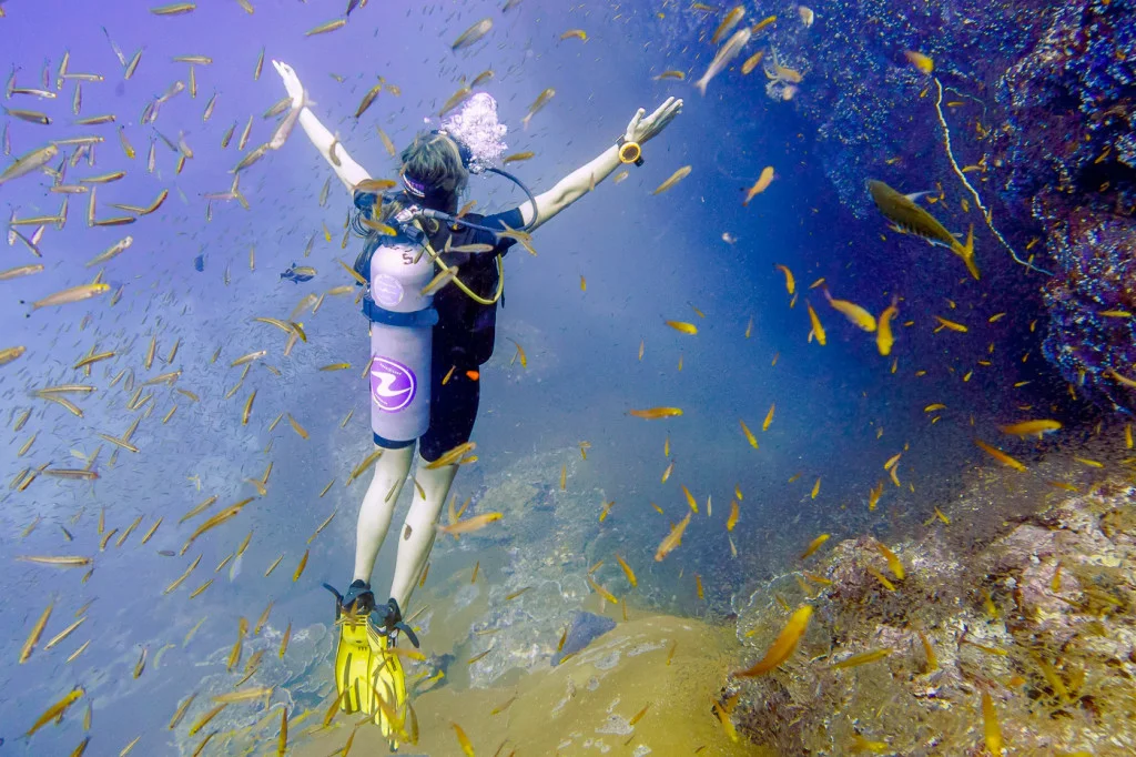Similan-Islands-Live-Aboard.jpg