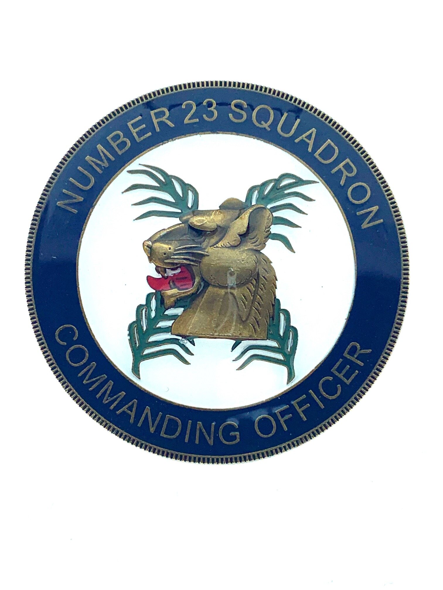 23 Squadron - Commanding Officer - Front