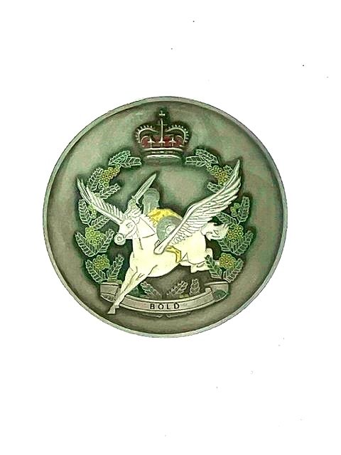 C Squadron - 5th Aviation Regiment - Back