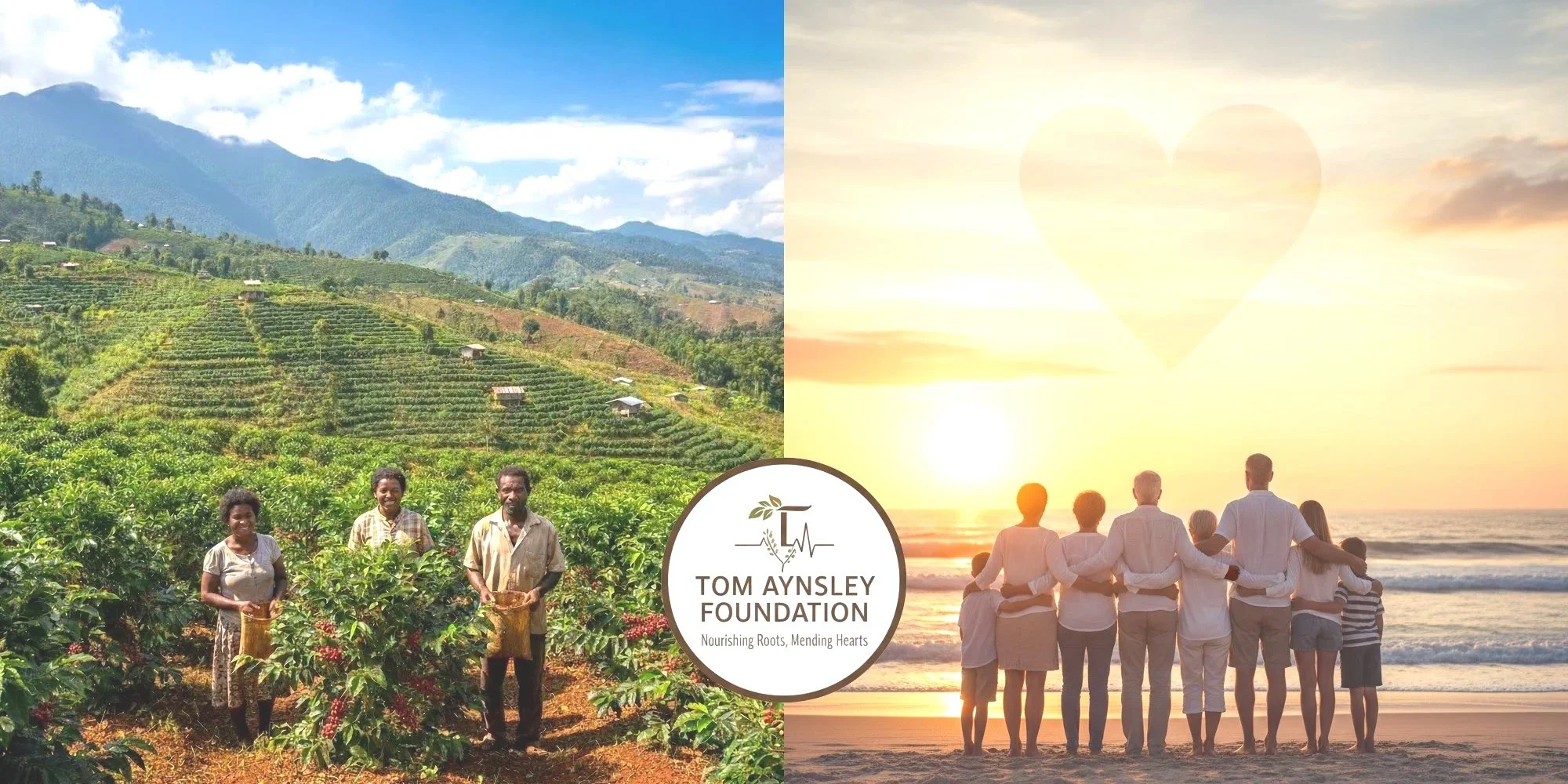 TAFL 6 New Facebook header copy.jpg