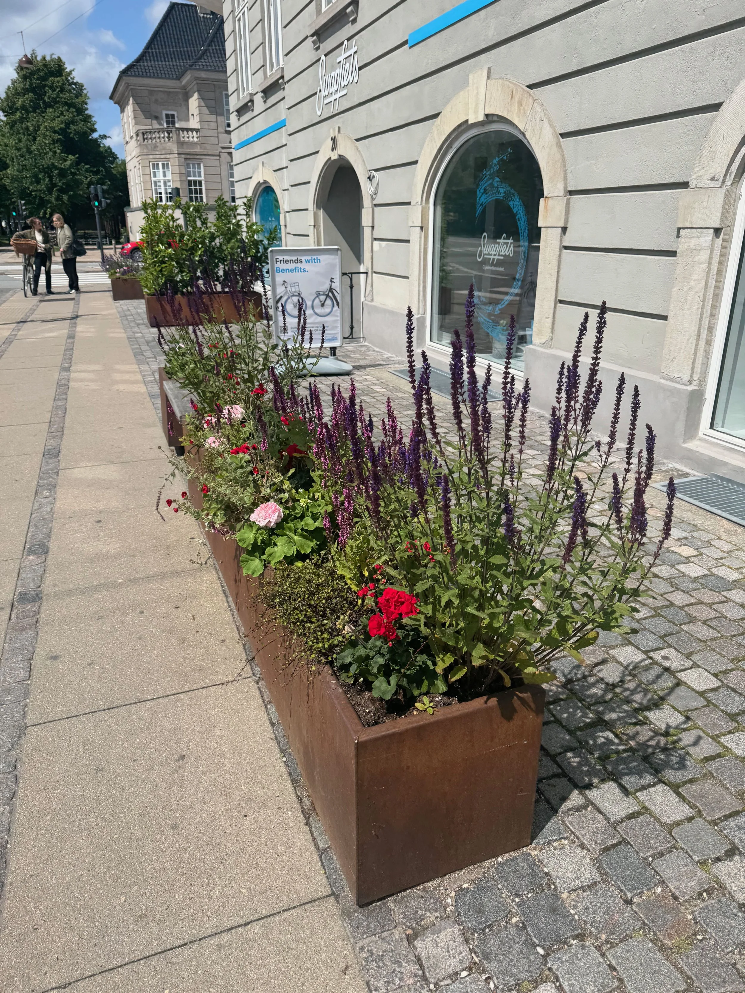 IMG_1401.jpeg