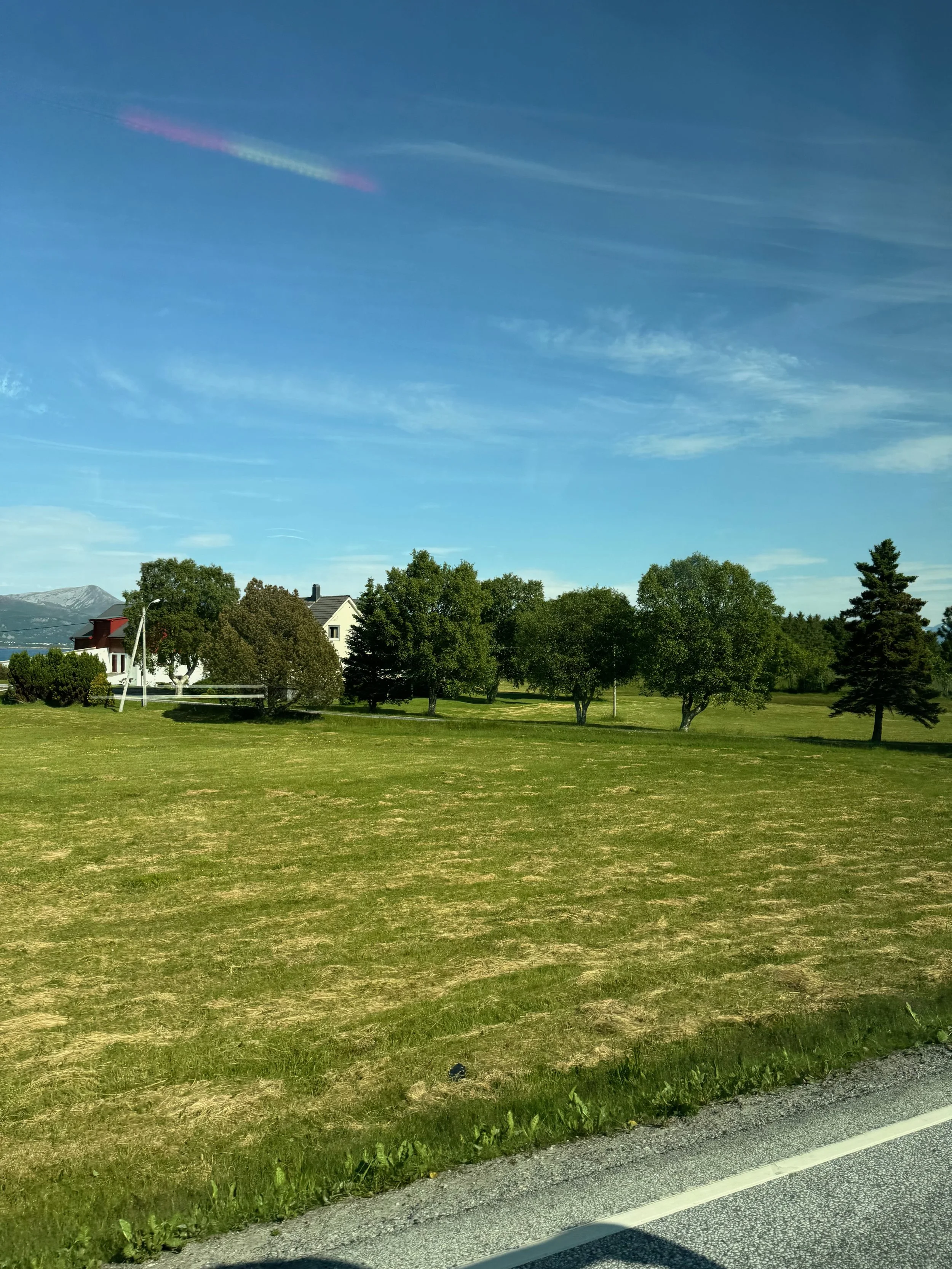 IMG_1861.jpeg