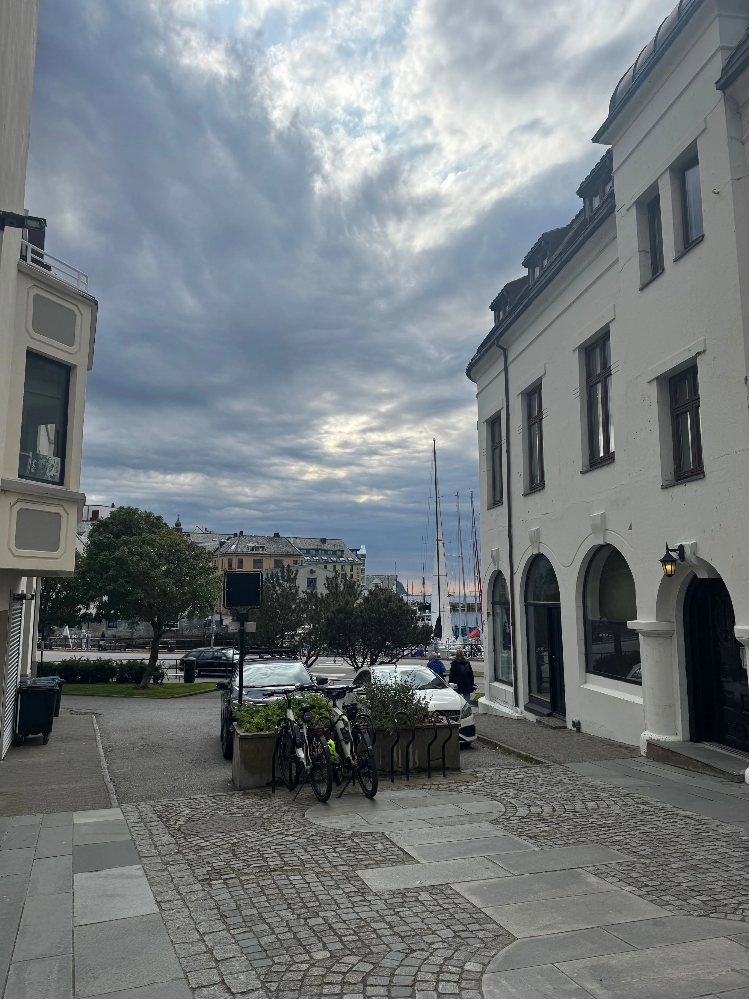 IMG_1896.jpeg