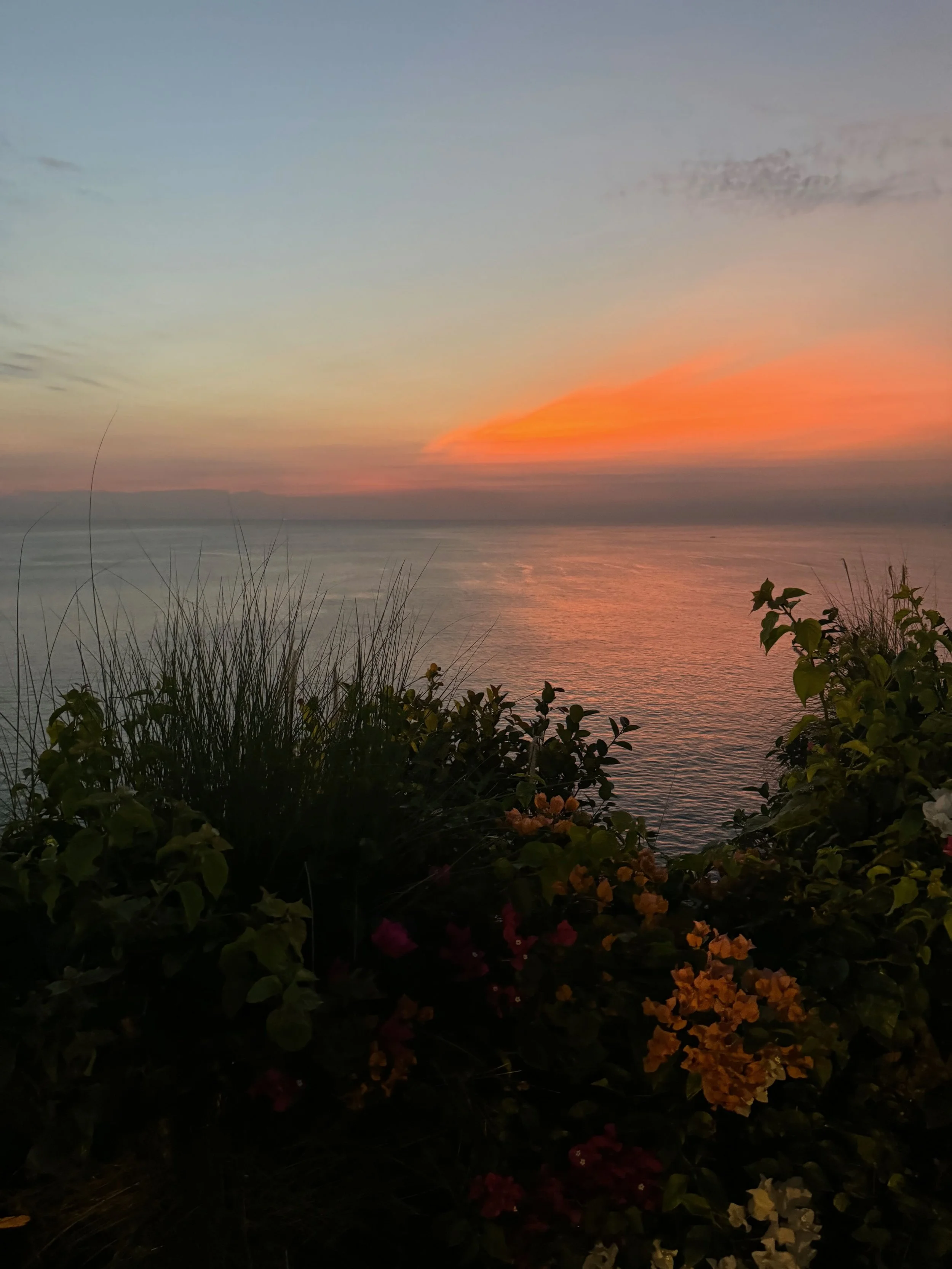 IMG_6258.jpeg