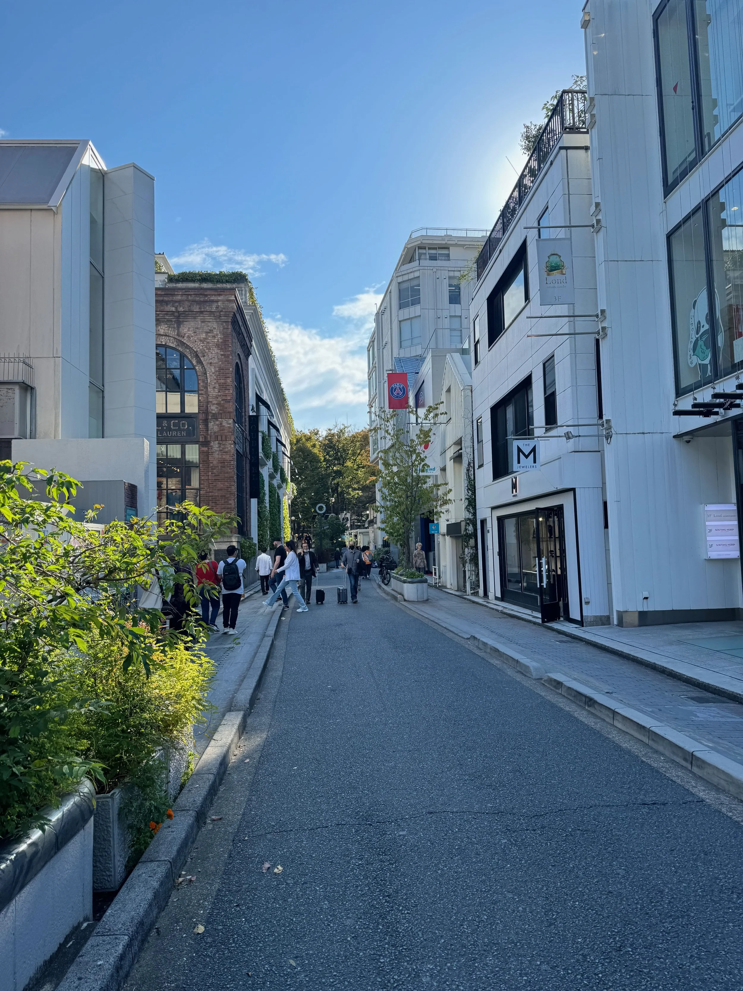IMG_0080.jpeg