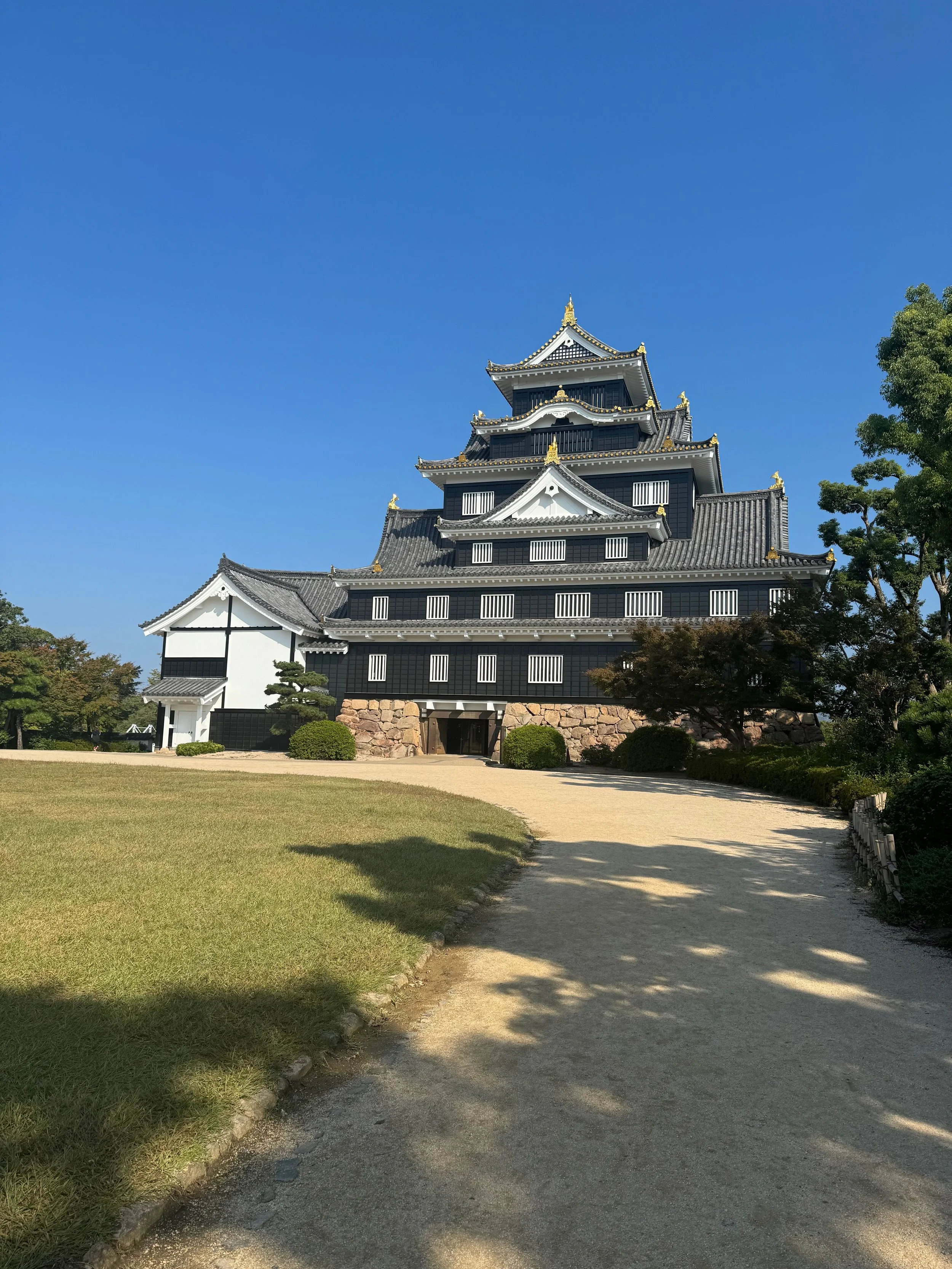 IMG_9603.jpeg