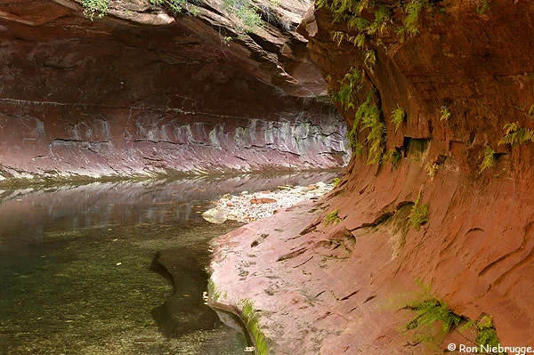 west-fork.jpg