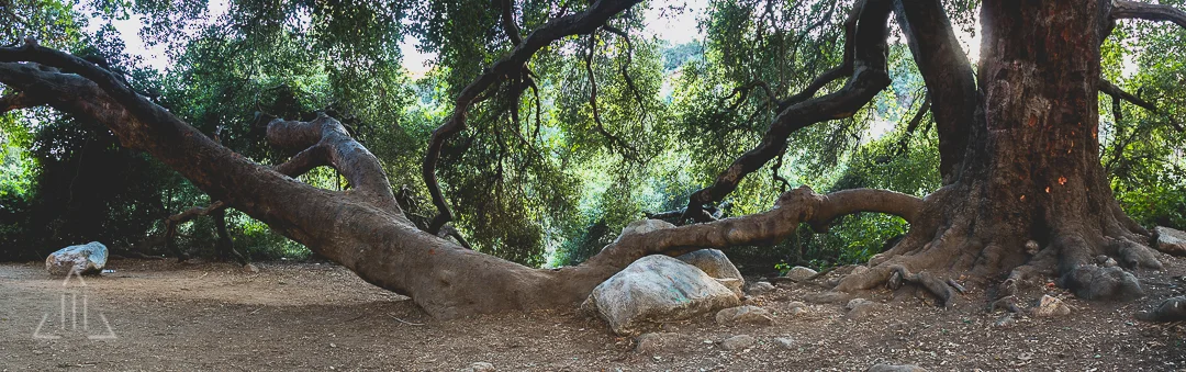 _MG_4882-Pano-2.jpg