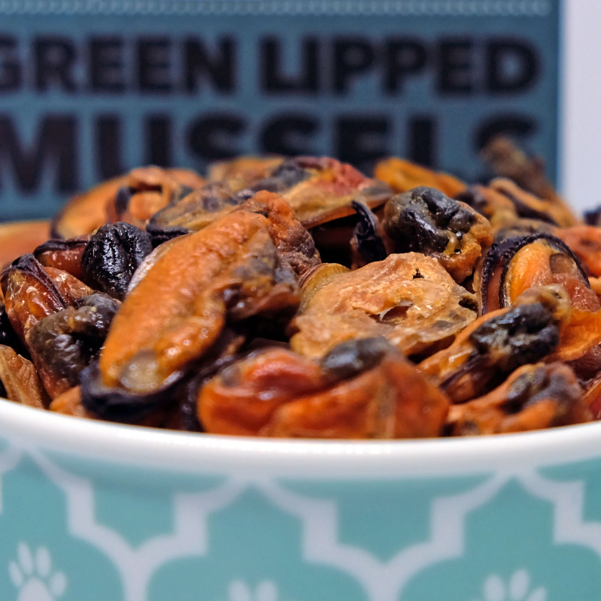 mussels-3.jpg