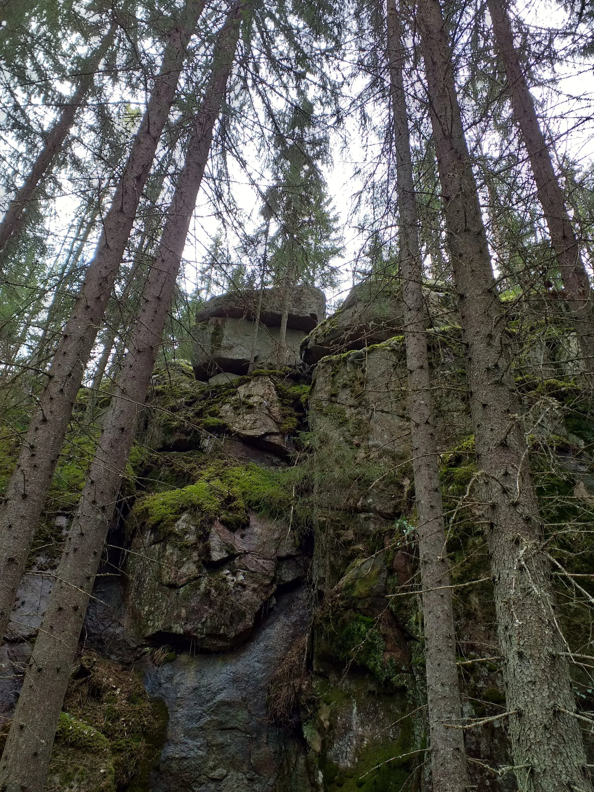 20190504_123921.jpg