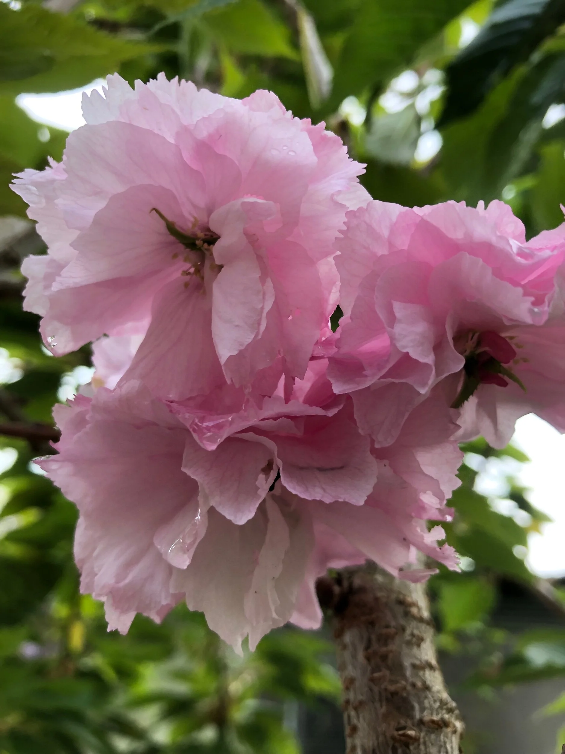 AF874CC0-04DC-4191-A91E-14E38852A303