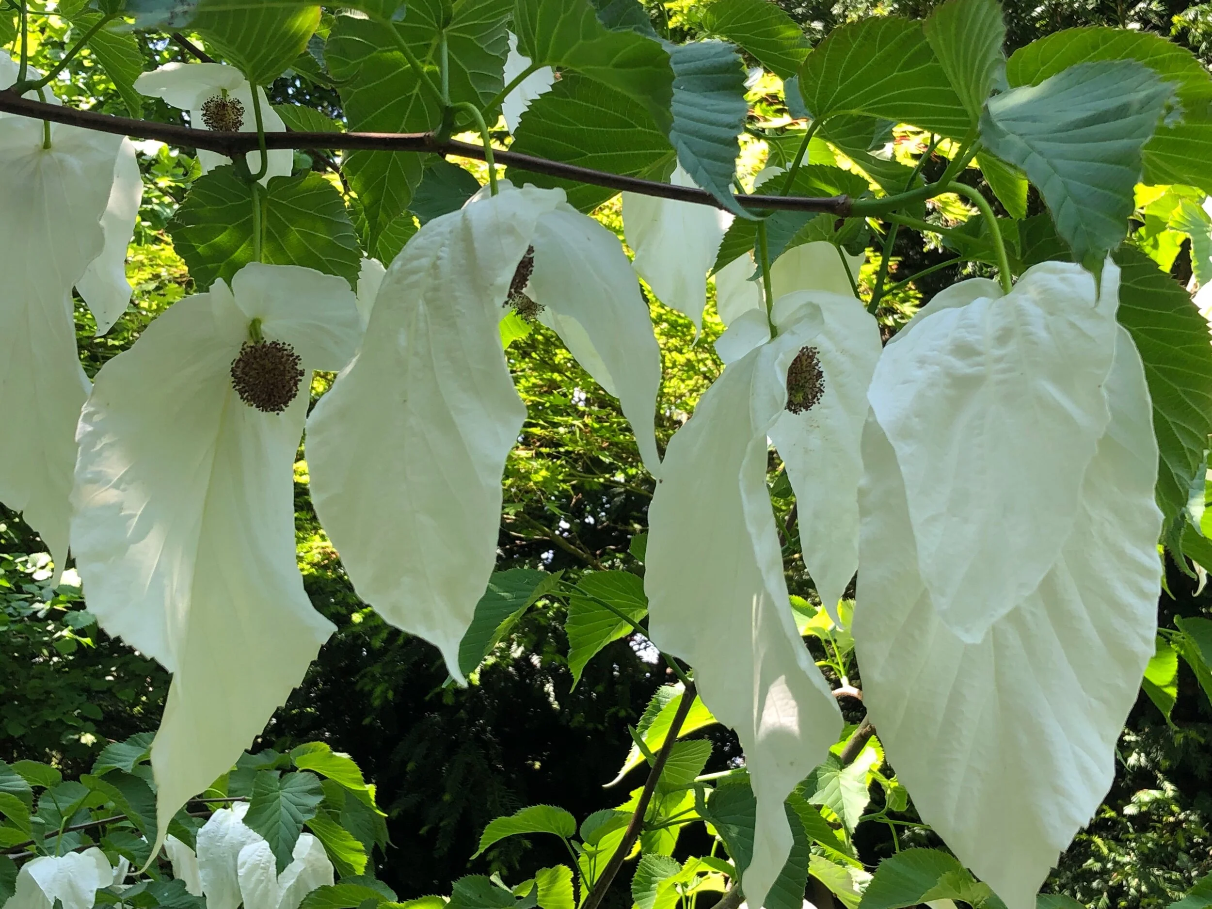 03C1613D-377F-45C3-9BEC-20F2653D2DA0