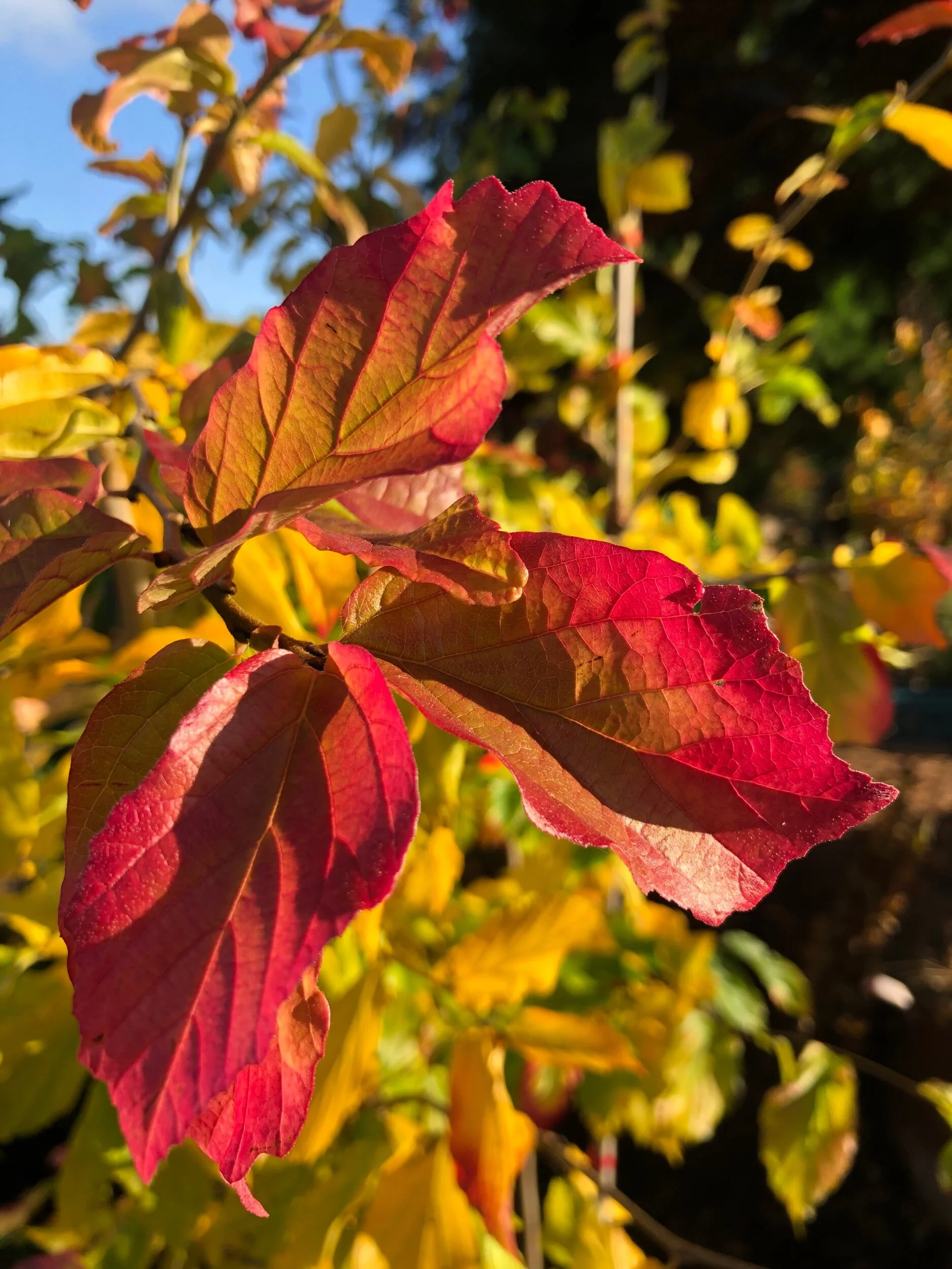 F955D1B8-0BD3-4D68-BE95-7AB963EB0F94