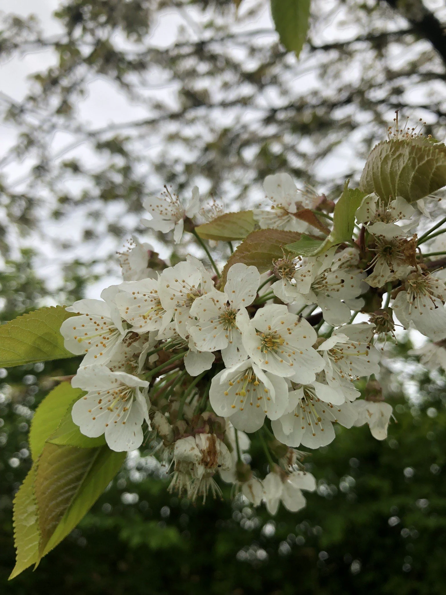 image_6487327 (5).JPG