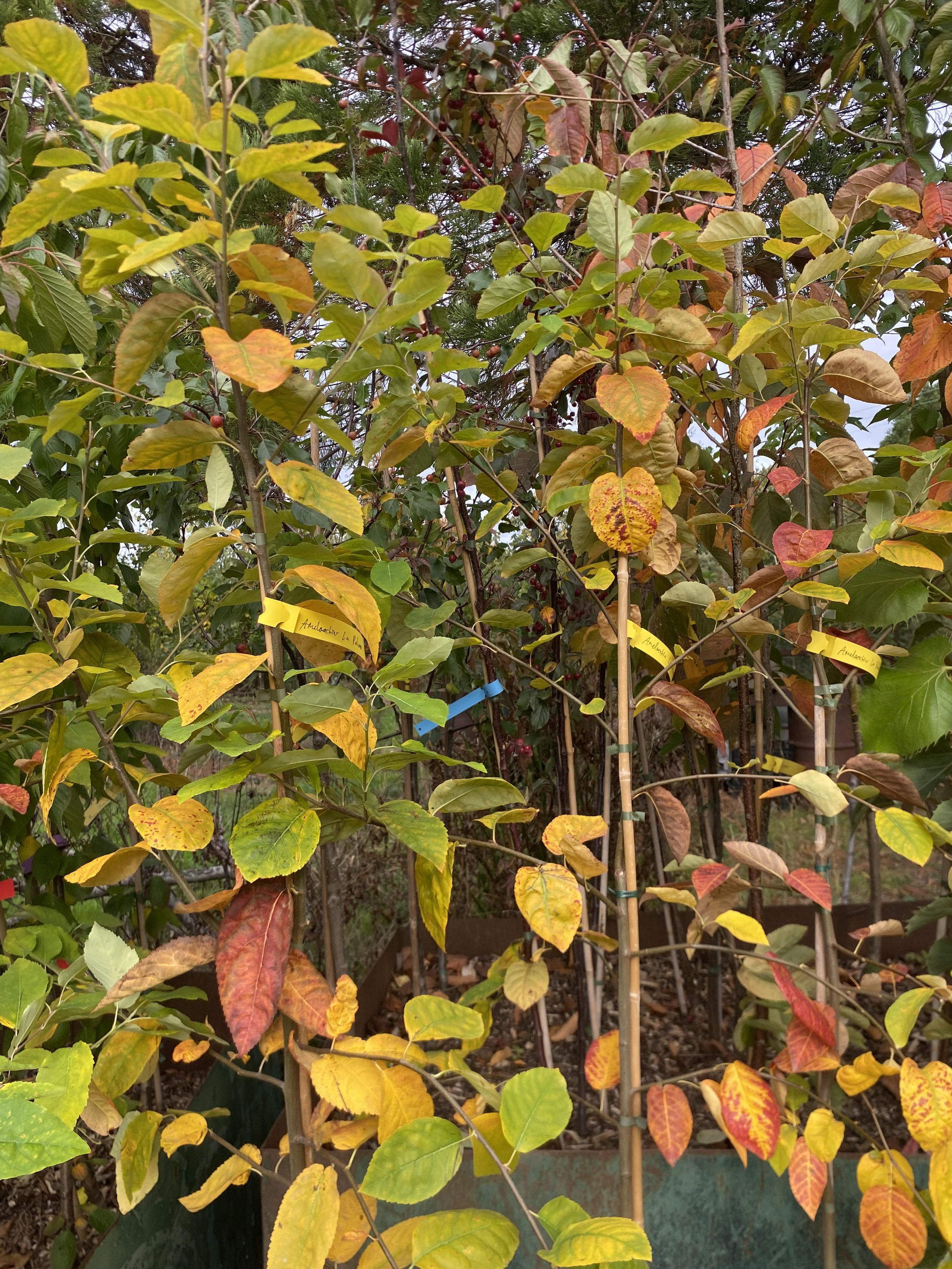 IMG_1581.jpeg