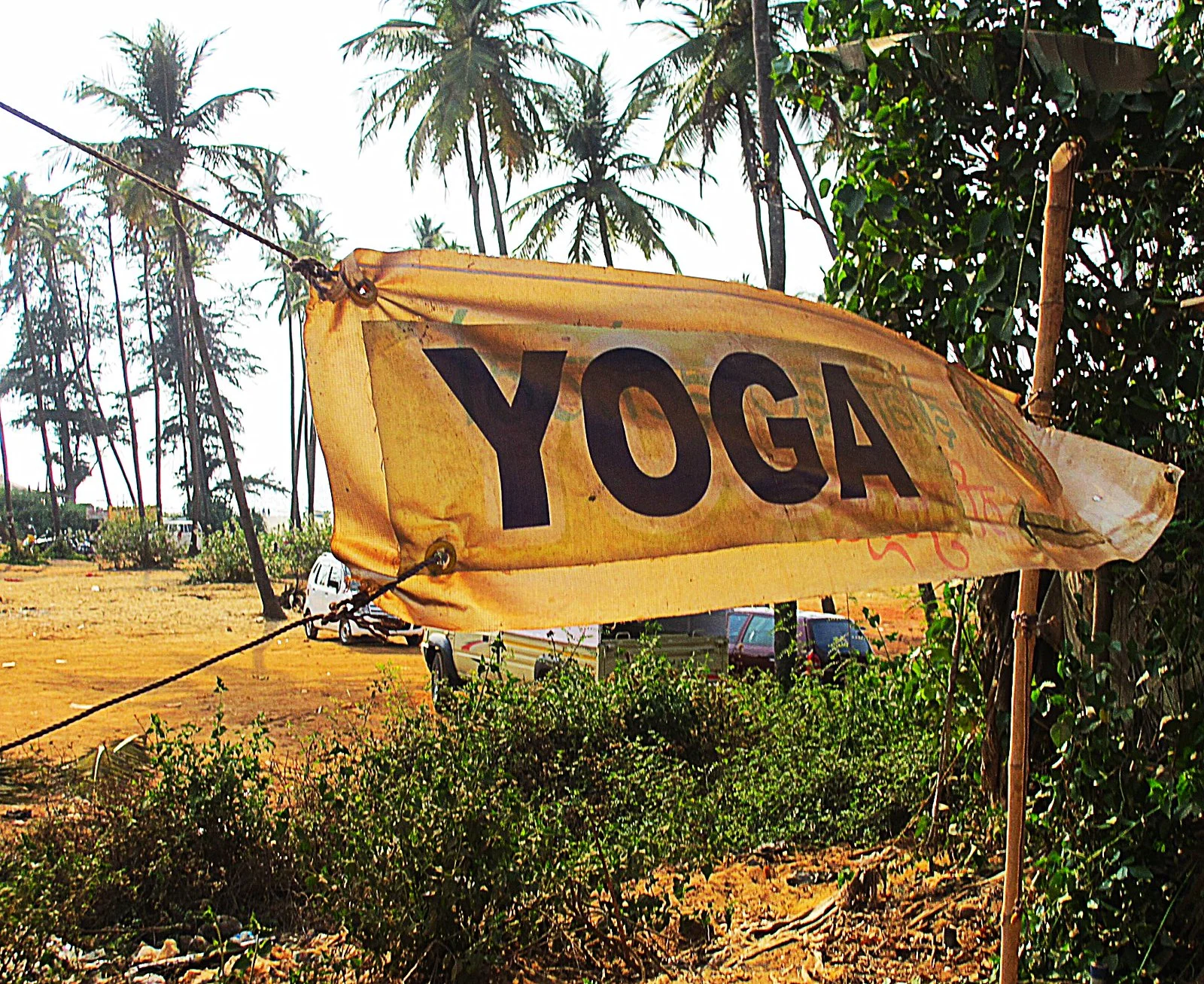 yogagoa.jpg