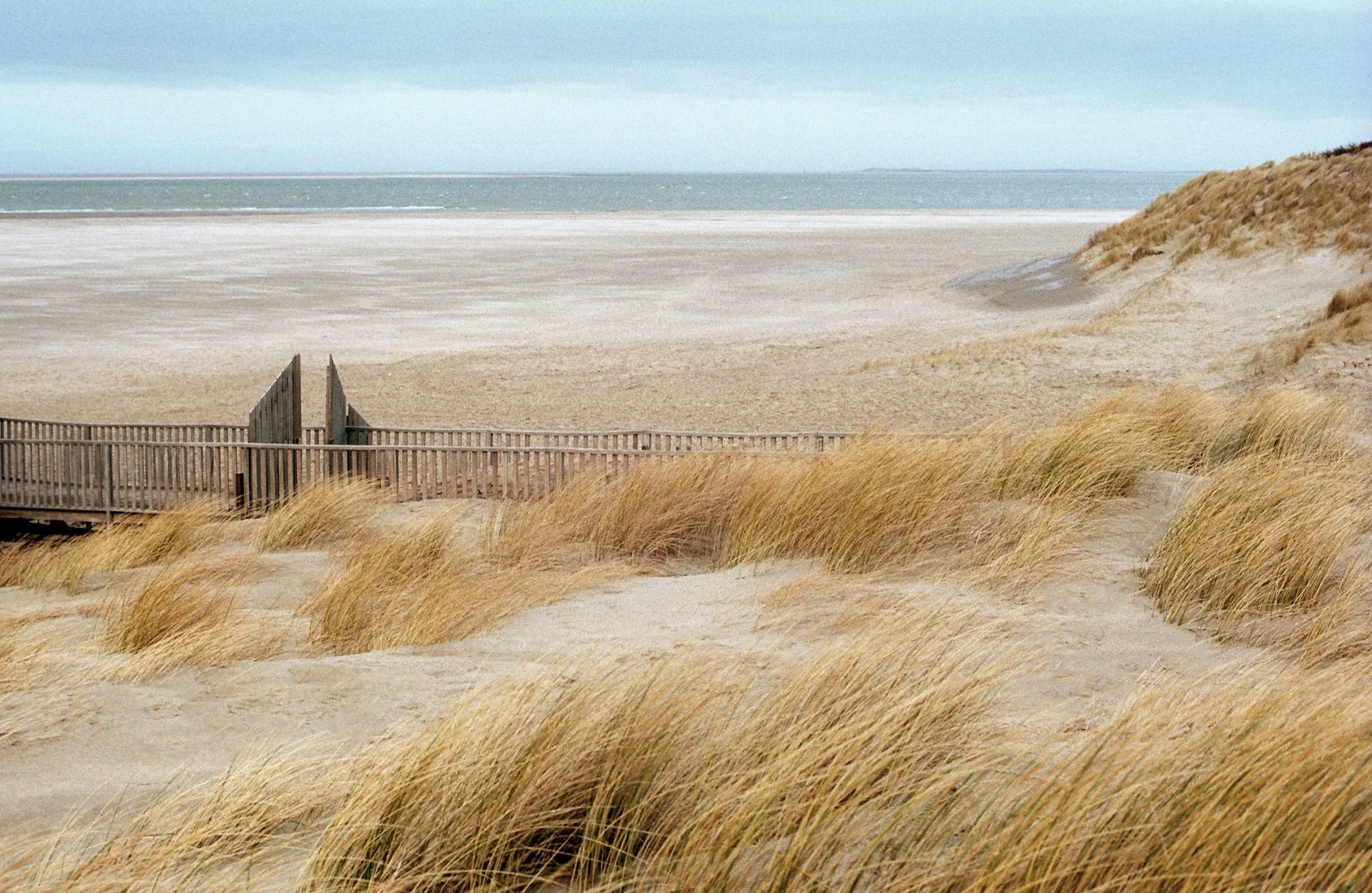 web_veronika_krebs_landscape_texel_001.jpg