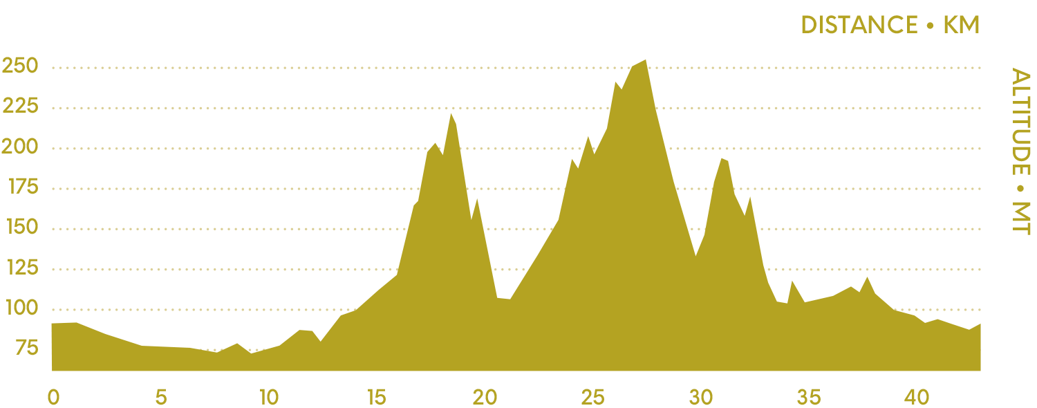tour-04-colline-grafo.png