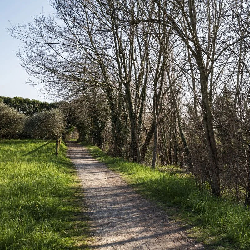 passeggiate-in-collina-02.jpg