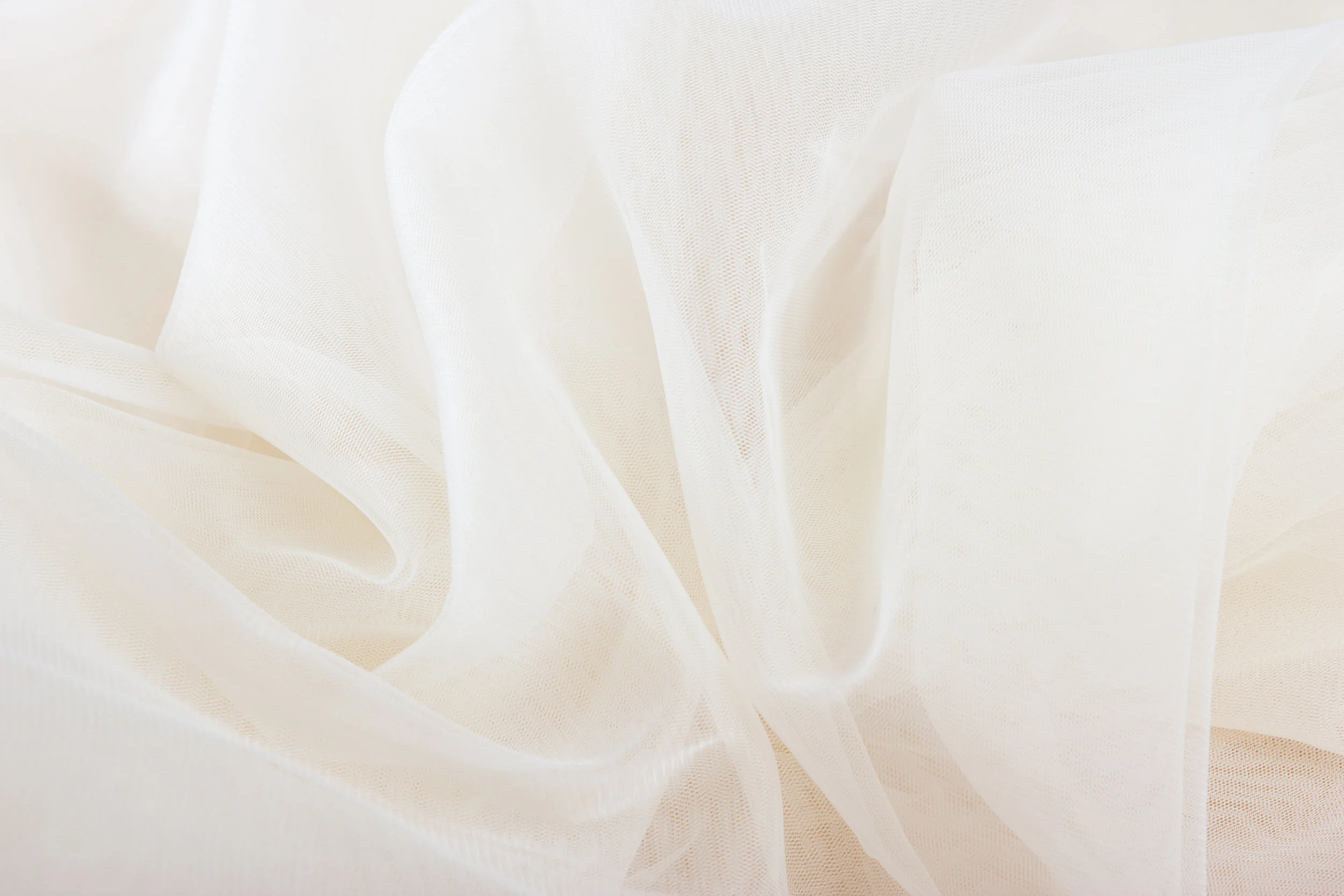 Tulle holding image.jpg