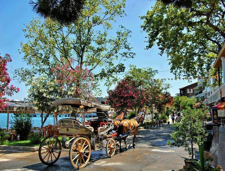 The Prince Islands, Istanbul