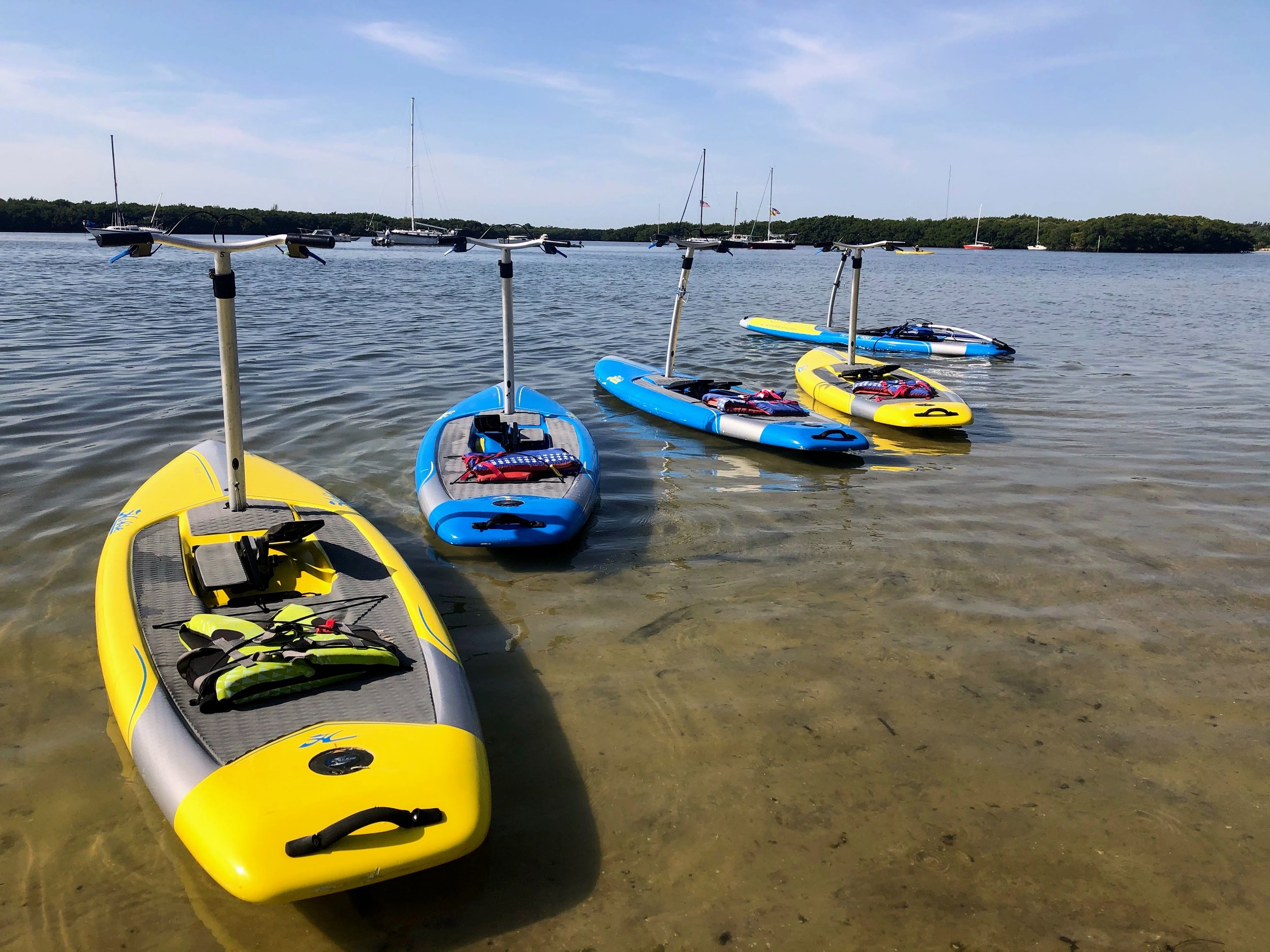 What We do — Walk on Water Pedalboard Tours