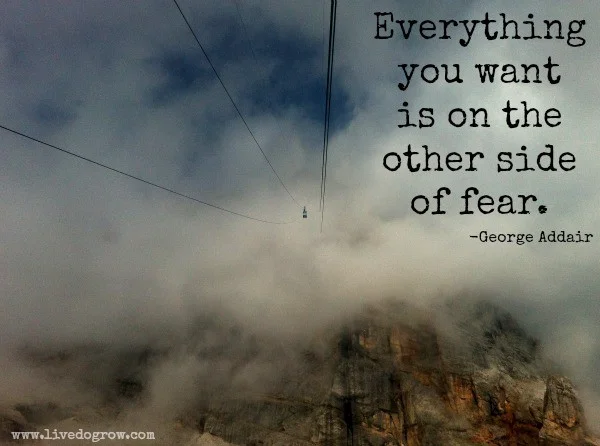Wise words. Photo credit: livedogrow.com