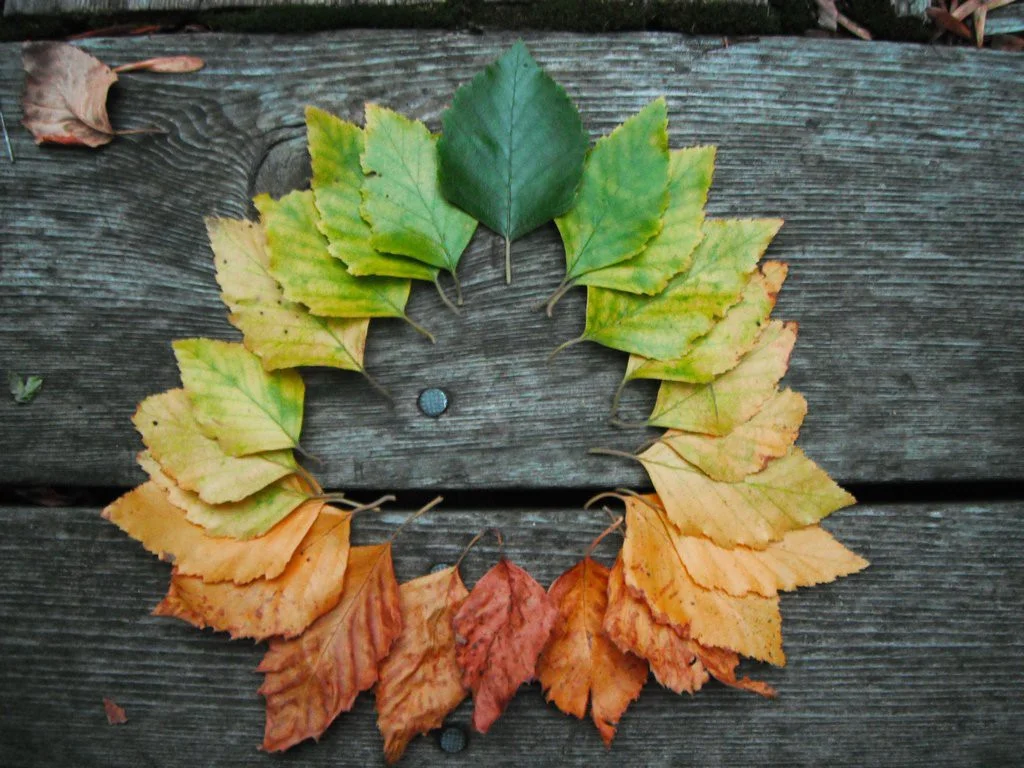 Photo credit: deviantart.net