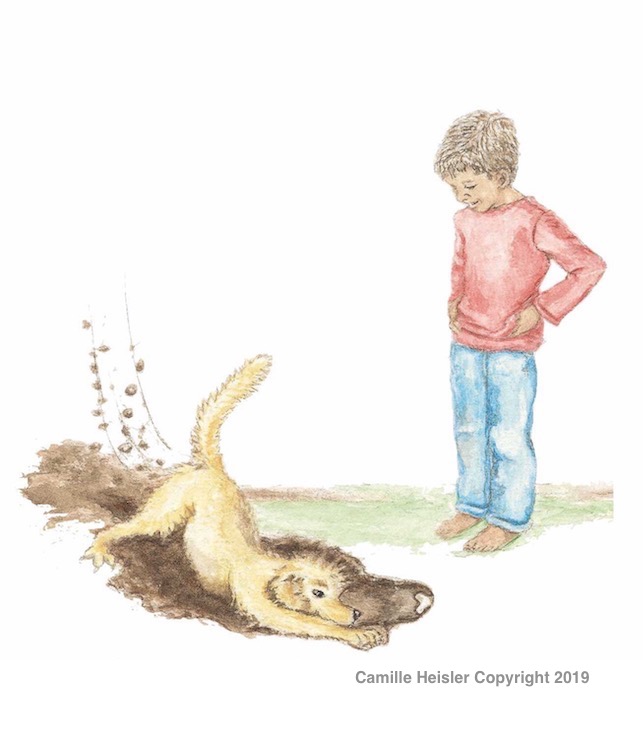 Illustration from "Exploring Soils: A Hidden World Underground" Children's Book