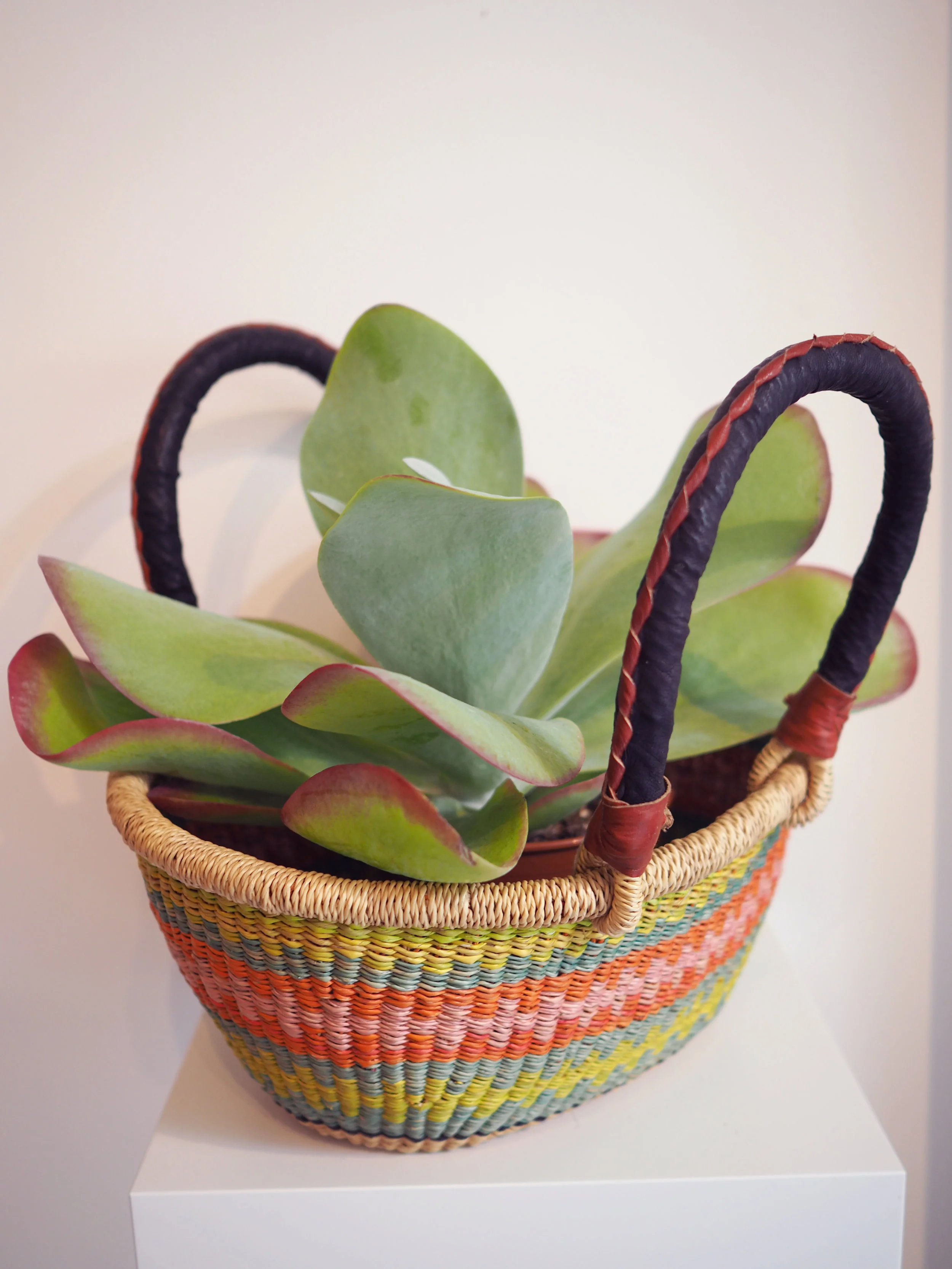 shopper1a.jpg