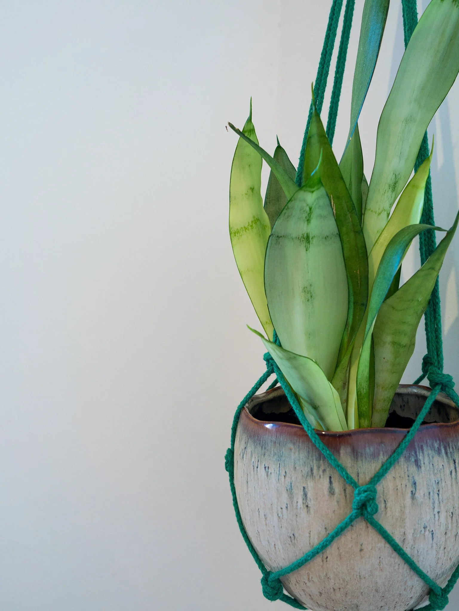 HANDMADE PLANT HANGERS - GREEN1.jpg