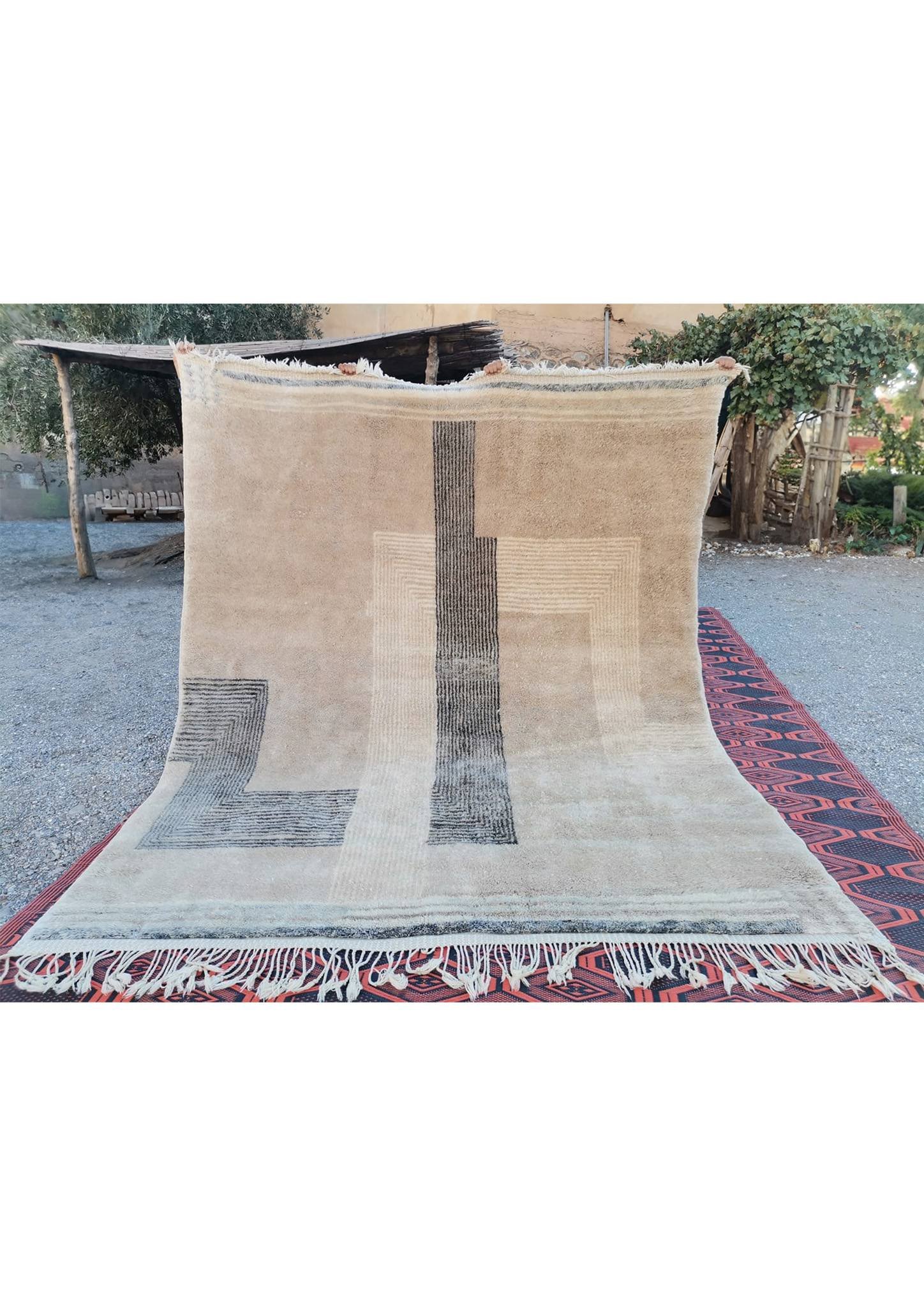 Moroccan-Beni-M'rirt-Wool-Rug-hidden-path-1.jpg