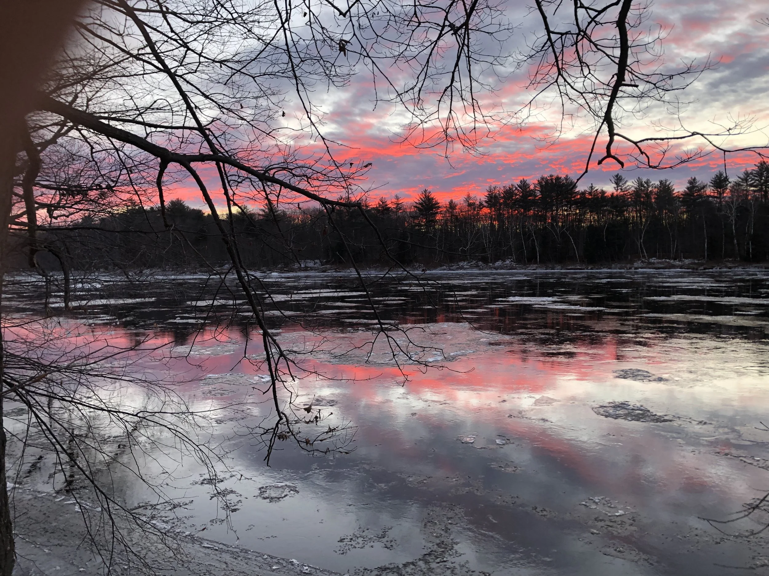 Rewild the Androscoggin Monthly Meeting #2