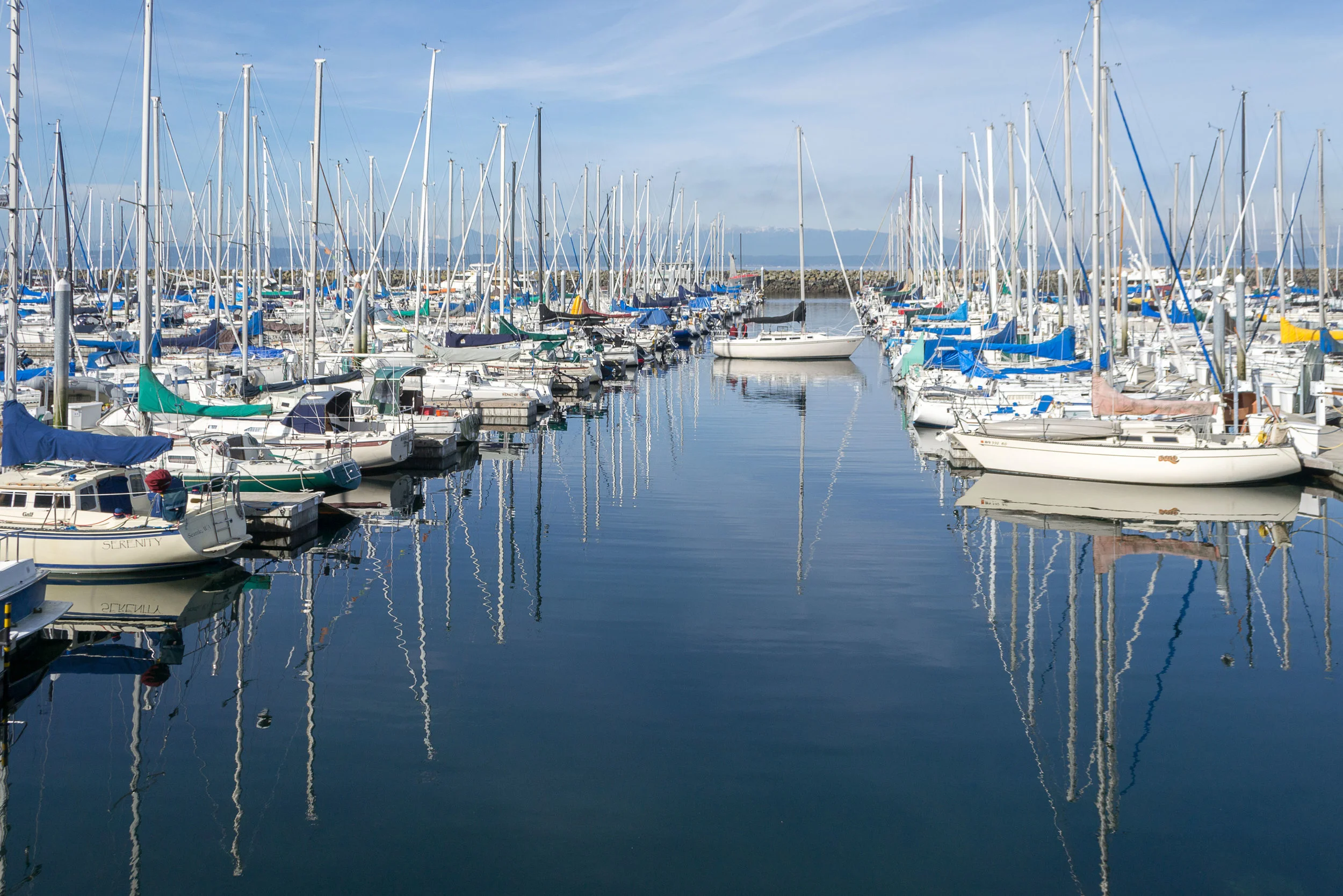 From whale watching to harbor cruises and from the Victoria Clipper to gala celebration cruises, the Puget Sound area has hundreds of private recreational vessels using the waterways.