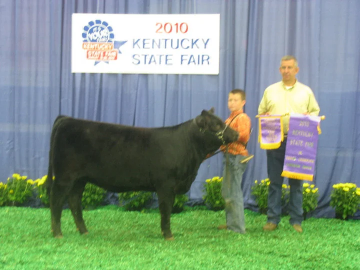 2010 Kentucky State Fair Grand Champion Junior Limousin Female