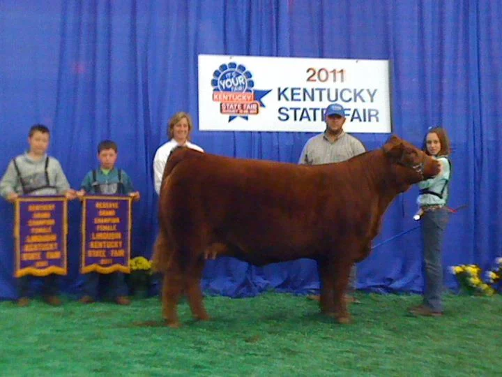 2011 Kentucky State Fair–KY Grand Champion Female and Reserve Grand Champion Female–Open Show HB Casual