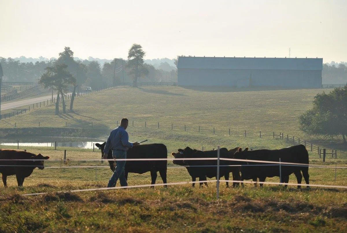 hb-farms-14.jpg